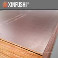 F17 Standard film faced plywood